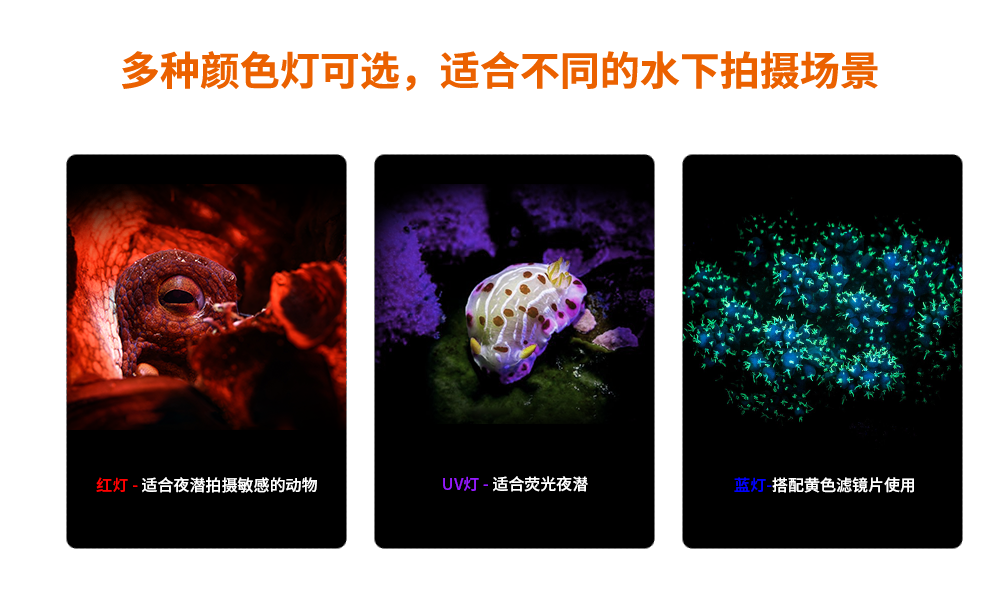 潛水攝影燈，水下攝影照明，D530V多功能手電筒，潛水（shuǐ）照明燈，OrcaTorch久久国产三级精品
