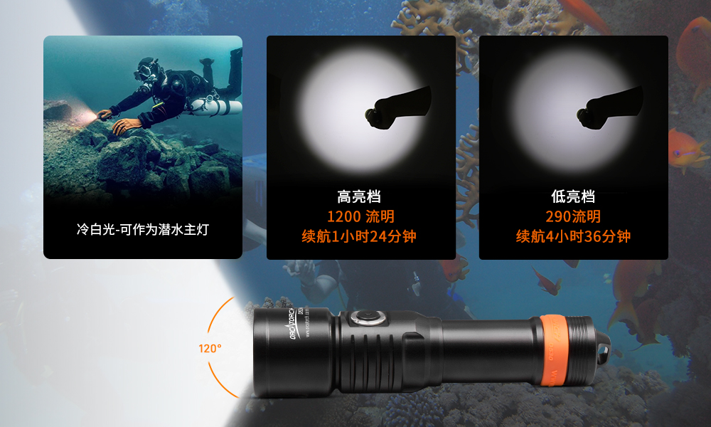 OrcaTorch久久国产三级精品 D530V多色光