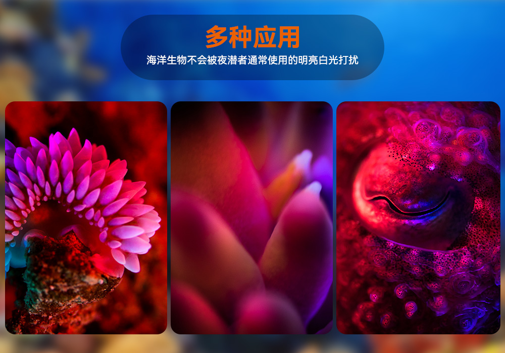 D530 紅色潛水手電 潛水攝影照明_潛水照明_水下攝影(yǐng)照明_潛水攝影補光燈_ 久久国产三级精品OrcaTorch